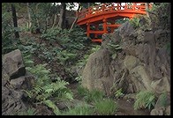 Koishikawa Korakuen garden