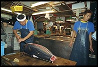 Tsukiji Fish Market. Tokyo