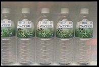 This is water. Vending Machine. Ryoan-ji. Kyoto