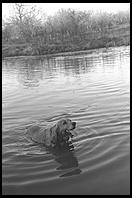 SARA Sanctuary.  Seguin, Texas