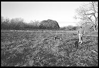 SARA Sanctuary.  Seguin, Texas