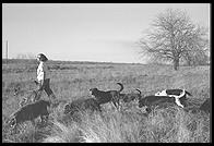 SARA Sanctuary.  Seguin, Texas