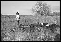 SARA Sanctuary.  Seguin, Texas