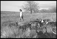 SARA Sanctuary.  Seguin, Texas