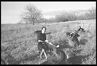 SARA Sanctuary.  Seguin, Texas