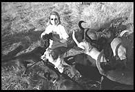 SARA Sanctuary.  Seguin, Texas