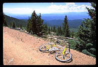 Up among the aspens.  Santa Fe, New Mexico.
