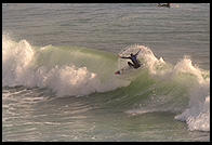 Surfer. Santa Cruz, California