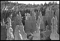 Bryce Canyon.  Utah.