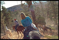 Bryce Canyon.  Utah.