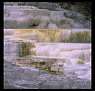 Mammoth Hot Springs.  Yellowstone National Park.