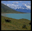 Mt. Cooke.  South Island, New Zealand