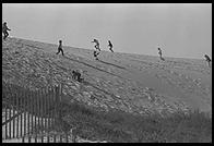 Dunes.  Cape Cod.  1981