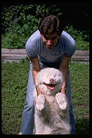 Harry Greenspun and George.  Melrose circa 1985.