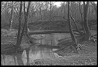 Potomac River.  1981.