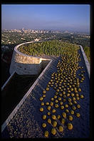 Cactus Garden overlooking the city. Getty Center.  Los Angeles, California.