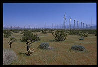 Wind Farm. Palm Springs, California.