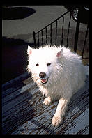 Sky.  After the bath.