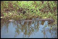 Everglades National Park