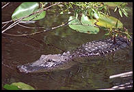 Everglades National Park