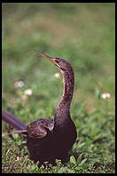 Everglades National Park
