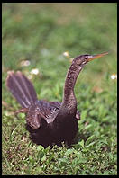 Everglades National Park