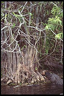 Everglades National Park