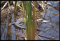 Everglades National Park