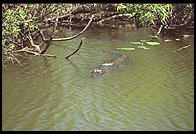 Everglades National Park