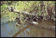 Everglades National Park