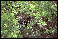 Everglades National Park