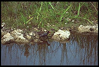 Everglades National Park