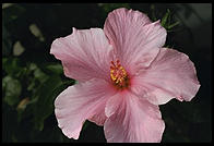 Butterfly World, Pompano Beach, Florida