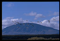 Lower Klamath National Wildlife Refuge