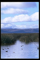Lower Klamath National Wildlife Refuge