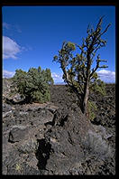 Lava Beds National Park. Tulelake, California