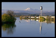 Mt. Shasta from Klamath Falls, Oregon