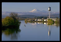 Mt. Shasta from Klamath Falls, Oregon