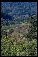 Napa Valley, California.