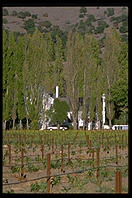 Napa Valley, California.