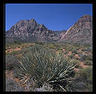 Red Rock Canyon, west of Las Vegas, Nevada
