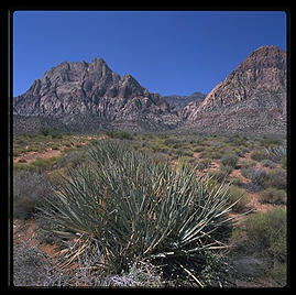 Red Rock Canyon, west of Las Vegas, Nevada