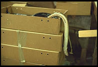 Eels.  Fulton Fish Market.  Manhattan 1994 (pre burning).