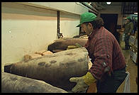 Fulton Fish Market.  Manhattan 1994 (pre burning).