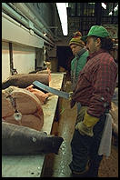 The Saw.  Fulton Fish Market.  Manhattan 1994 (pre burning).