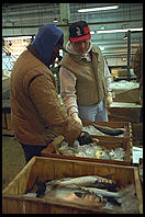 Fulton Fish Market.  Manhattan 1994 (pre burning).