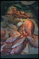 Fulton Fish Market.  Manhattan 1994 (pre burning).