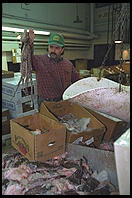 Fulton Fish Market.  Manhattan 1994 (pre burning).