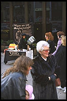New York City.  From inside a city bus.