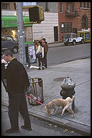 New York City.  From inside a city bus.
